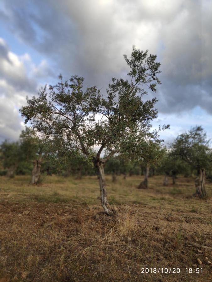 דירות גאטה Apartamento Turistico Sinuhe מראה חיצוני תמונה